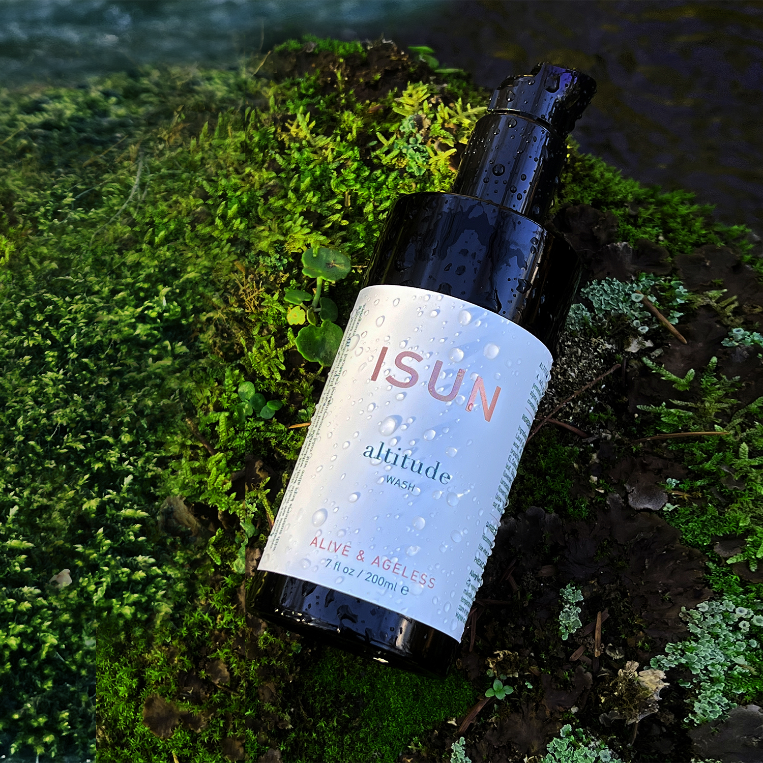 ISUN altitude wash on moss